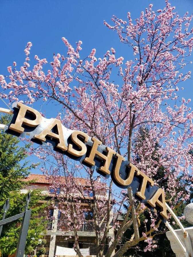 Pashuta 호텔 Voskopojë 외부 사진